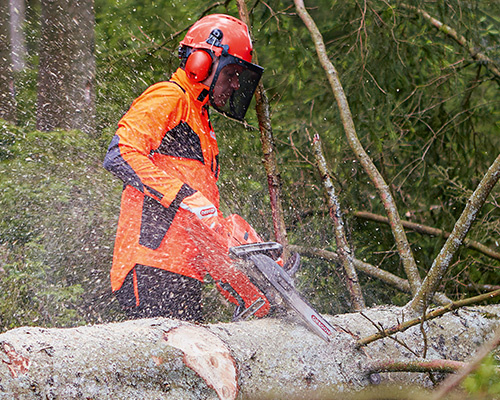 ACTIVITÉ FORESTIÈRE ET ENTRETIEN DES ARBRES
